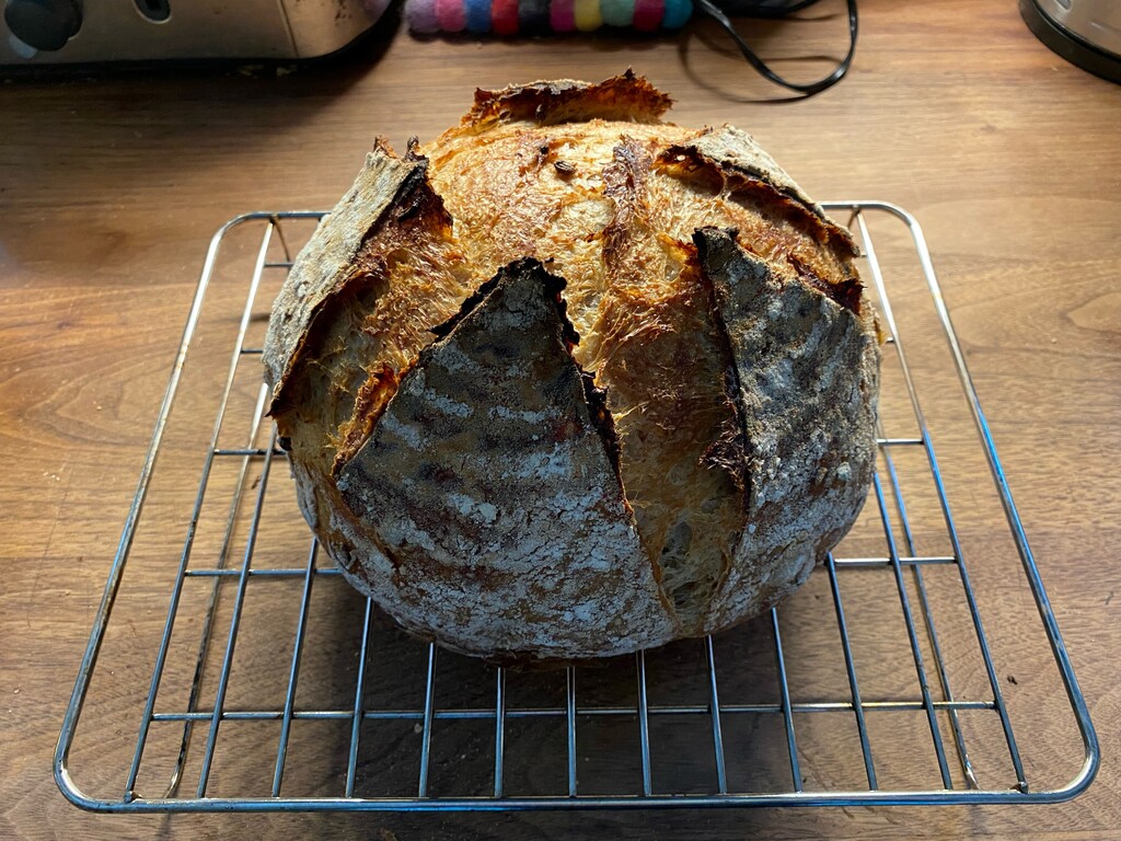 Increase Local Food Supplies for Coll